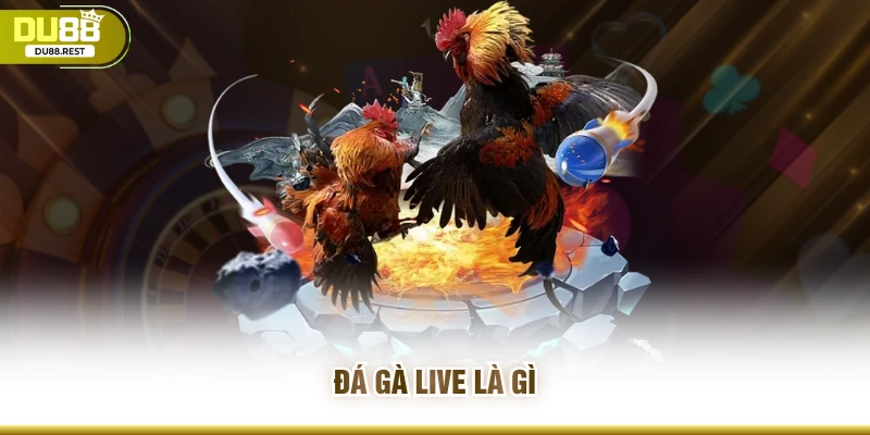 Đá gà live là gì