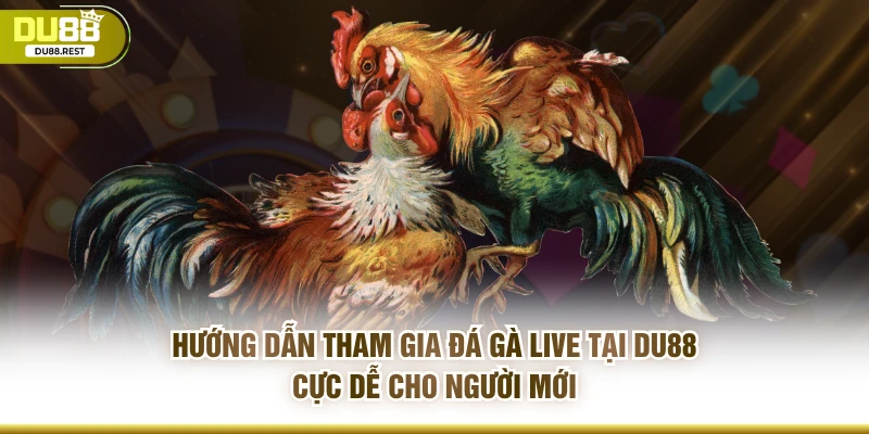 Hướng dẫn tham gia đá gà live tại Du88 cực dễ cho người mới