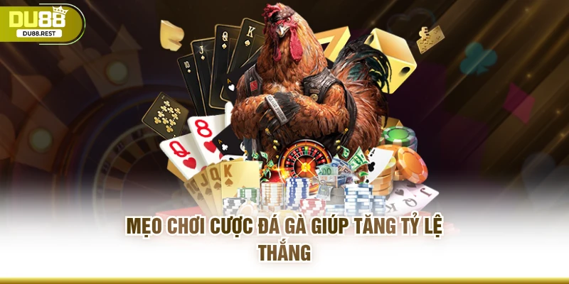 Mẹo chơi cược đá gà giúp tăng tỷ lệ thắng