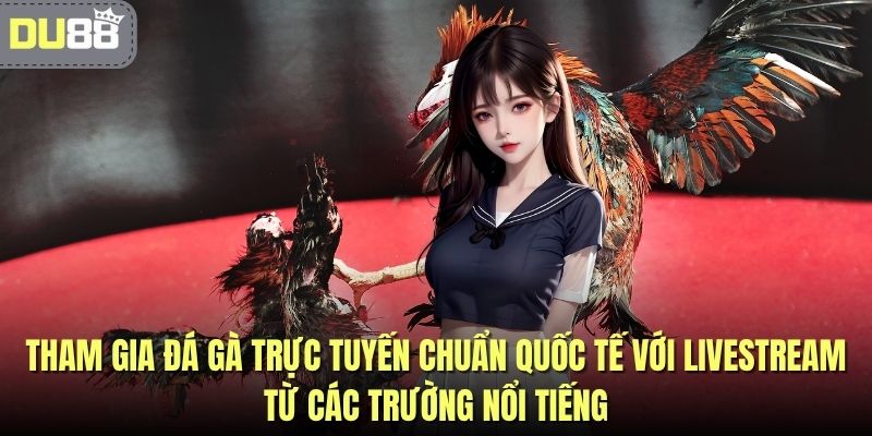 Tham gia đá gà trực tuyến chuẩn quốc tế với livestream từ các trường nổi tiếng